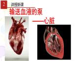 输送血液的泵──心脏PPT课件免费下载