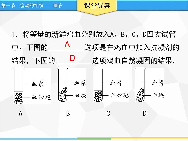 流动的组织──血液PPT课件免费下载07