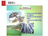人教版生物七年级下册 第七章   分析人类活动对生物圈的影响（课件）-(人教版)（共37张PPT)