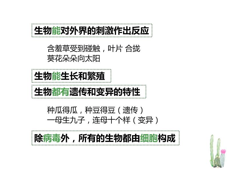 人教版七年级上册 复习课件PPT05