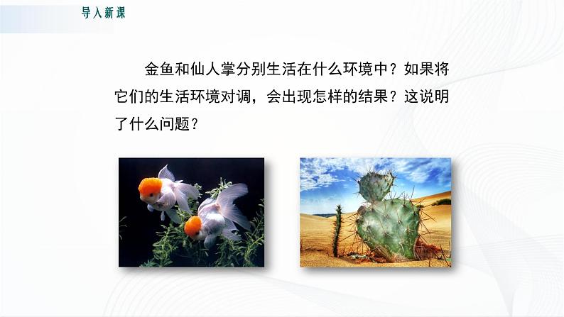 北师大版生物八下23.1《生物的生存依赖一定的环境》课件+教案+学案02