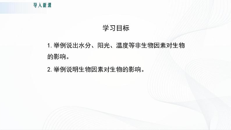 北师大版生物八下23.1《生物的生存依赖一定的环境》课件+教案+学案03