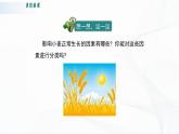 北师大版生物八下23.1《生物的生存依赖一定的环境》课件+教案+学案