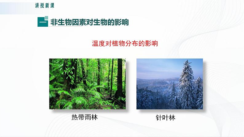 北师大版生物八下23.1《生物的生存依赖一定的环境》课件+教案+学案07