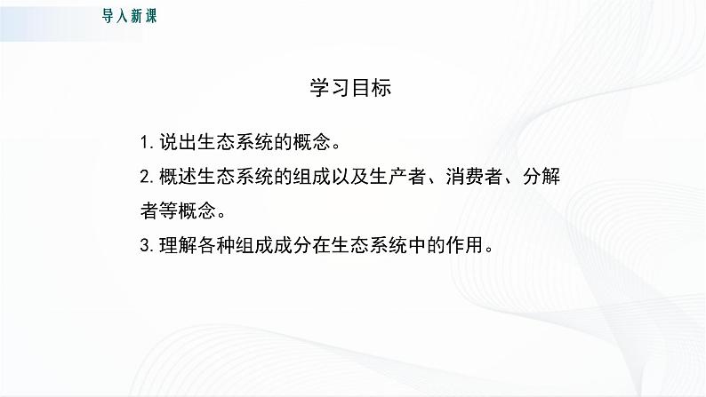 北师大版生物八下23.2《生态系统概述》课件+教案+学案05