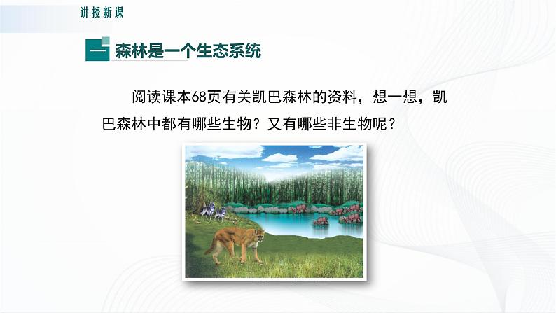 北师大版生物八下23.2《生态系统概述》课件+教案+学案06