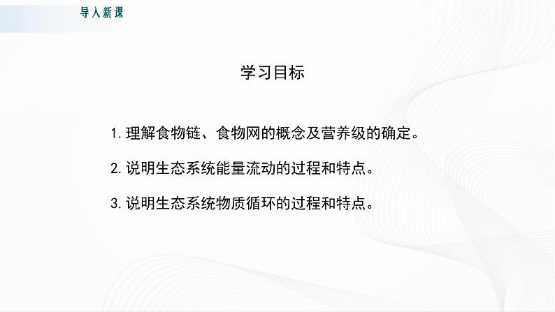北师大版生物八下23.3《生态系统的结构和功能》课件+教案+学案03