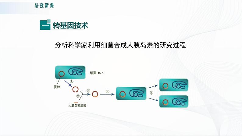 北师大版生物八下25.2《现代生物技术》课件+教案+学案05