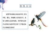 7.3.2 生物进化的历程- 2021-2022学年八年级生物下学期同步精品课件（人教版）