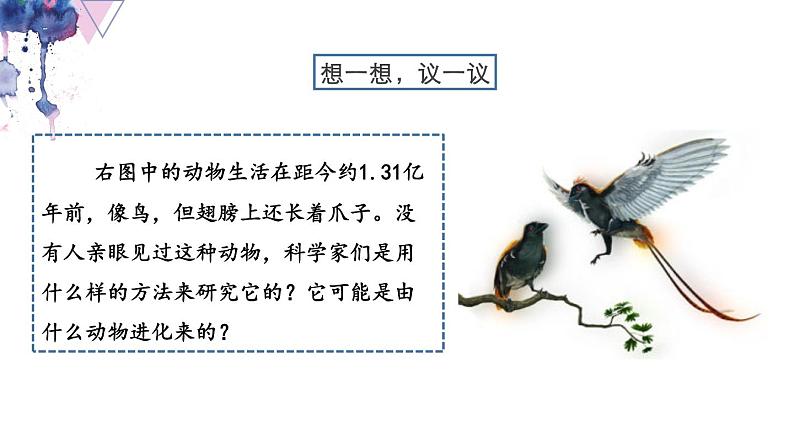 7.3.2 生物进化的历程- 2021-2022学年八年级生物下学期同步精品课件（人教版）03