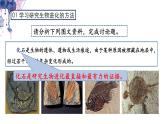 7.3.2 生物进化的历程- 2021-2022学年八年级生物下学期同步精品课件（人教版）