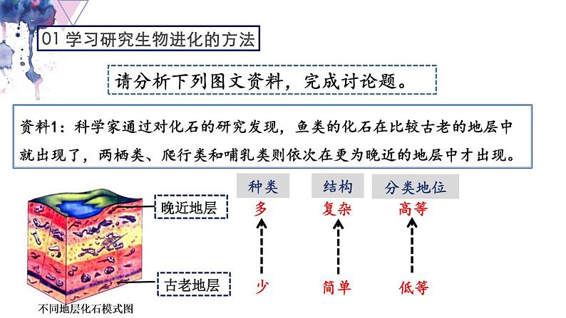 7.3.2 生物进化的历程- 2021-2022学年八年级生物下学期同步精品课件（人教版）05