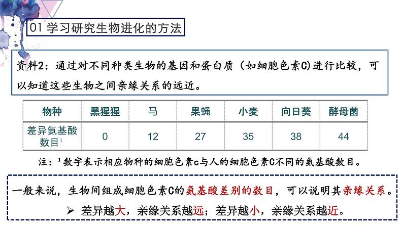 7.3.2 生物进化的历程- 2021-2022学年八年级生物下学期同步精品课件（人教版）06