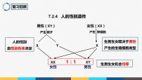 初中生物第五节 生物的变异教案配套课件ppt