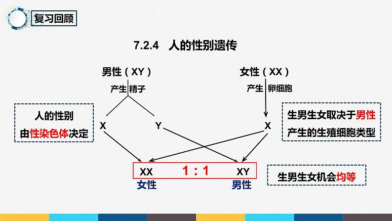 7.2.5 生物的变异- 2021-2022学年八年级生物下学期同步精品课件（人教版）01