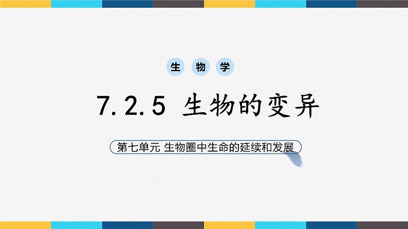 7.2.5 生物的变异- 2021-2022学年八年级生物下学期同步精品课件（人教版）02