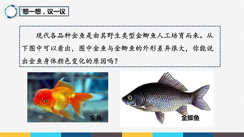 7.2.5 生物的变异- 2021-2022学年八年级生物下学期同步精品课件（人教版）03