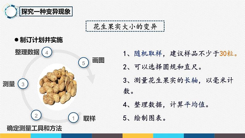 7.2.5 生物的变异- 2021-2022学年八年级生物下学期同步精品课件（人教版）06