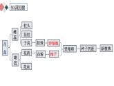 7.1.1 植物的生殖  2021-2022学年八年级生物下学期同步精品课件（人教版）