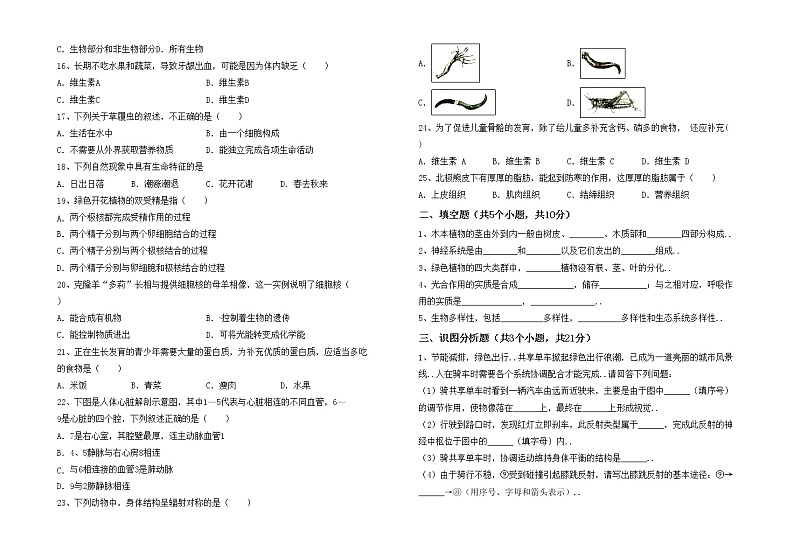 鲁教版七年级生物(上册)期中总复习及答案第2页