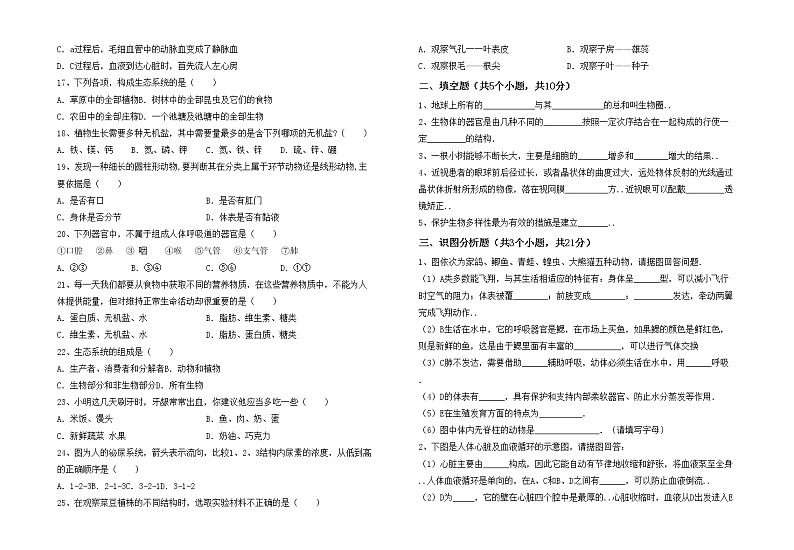 鲁教版七年级生物(上册)期中试卷附答案02