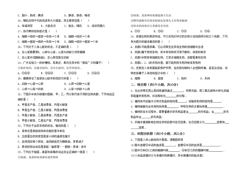 鲁教版七年级生物(上册)期中阶段测试卷及答案第2页