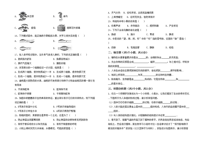 鲁教版七年级生物(上册)期中试卷及参考答案（精品）02