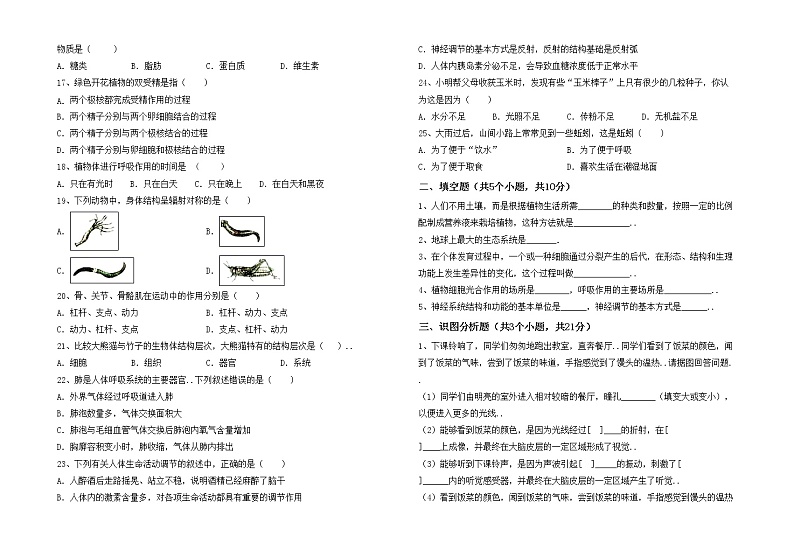 鲁教版七年级生物(上册)期中提升练习卷及答案02