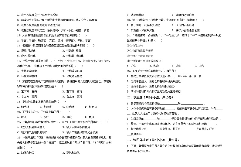 鲁教版七年级生物(上册)期中知识点及答案练习题第2页