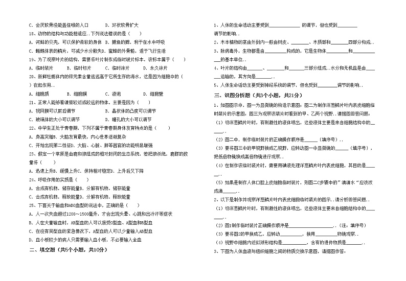 鲁教版七年级生物(上册)期中试题及答案（最新）02