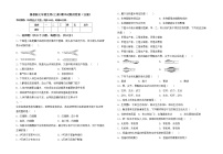 鲁教版七年级生物(上册)期中试题及答案（全面）