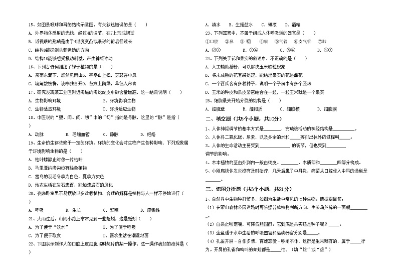 鲁教版七年级生物上册期末考试卷及答案【免费】02