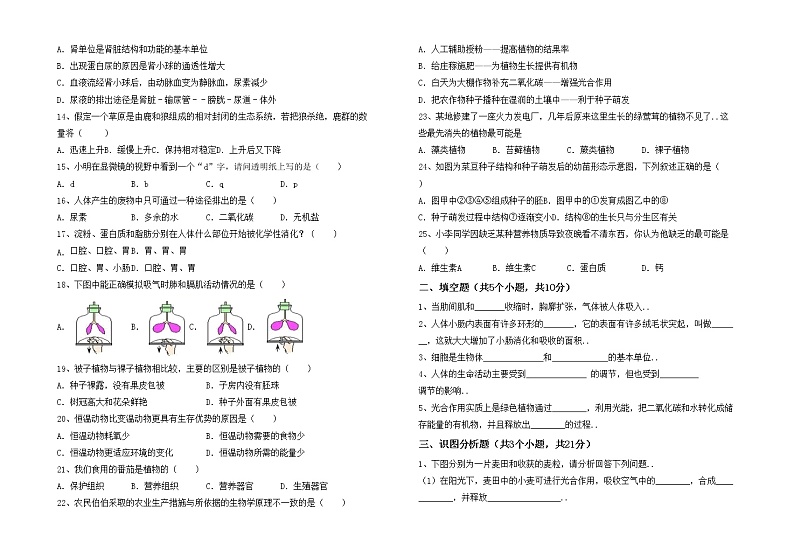 鲁教版七年级生物上册期末考试题（必考题）第2页