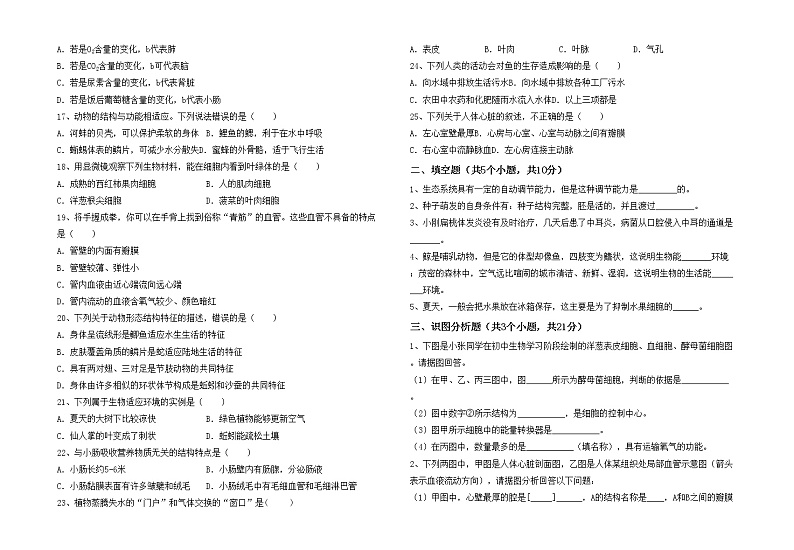 鲁教版七年级生物上册期末考试卷带答案第2页