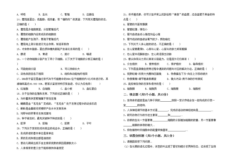 鲁教版七年级生物上册期末考试卷（全面）02