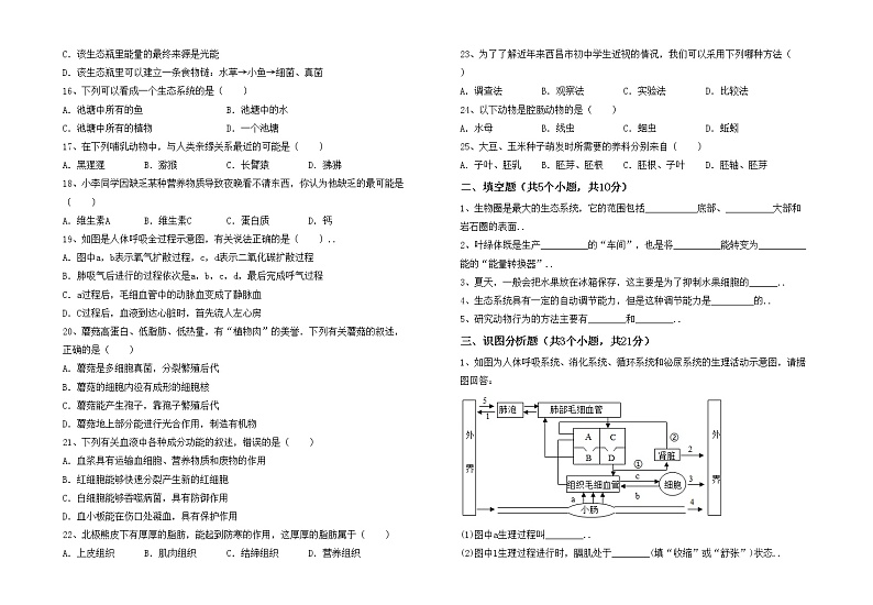 鲁教版七年级生物上册期末考试卷及答案【审定版】第2页