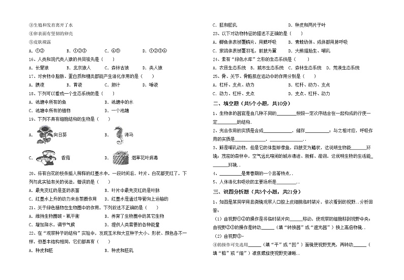 鲁教版七年级生物上册期末考试题【加答案】02
