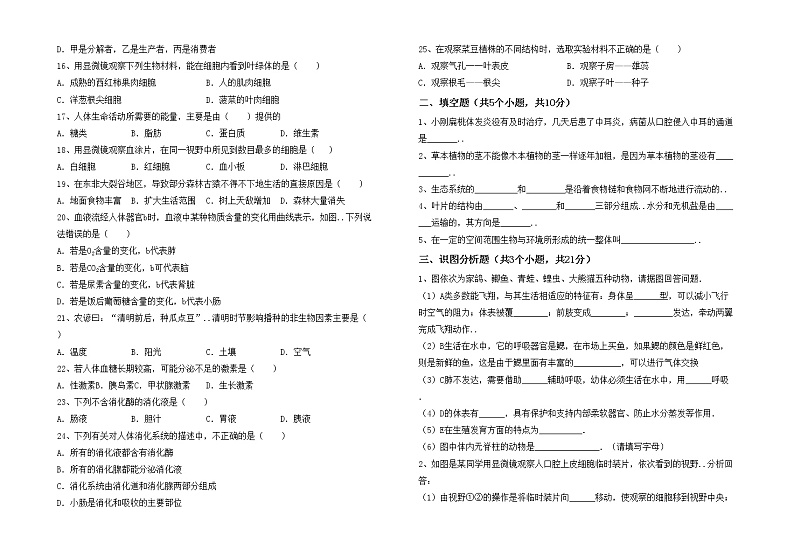 鲁教版七年级生物上册期末考试题及答案【精品】第2页