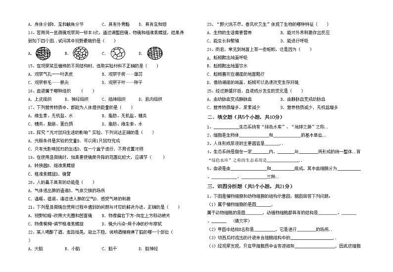 鲁教版七年级生物上册期末试卷及答案下载02