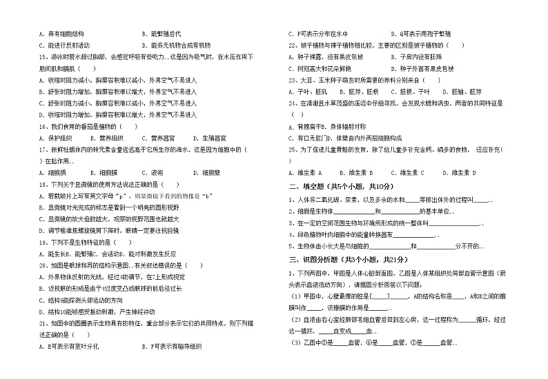 鲁教版七年级生物上册期末模拟考试及完整答案练习题02
