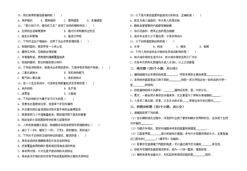 鲁教版七年级生物上册期末试卷及答案【全面】第2页