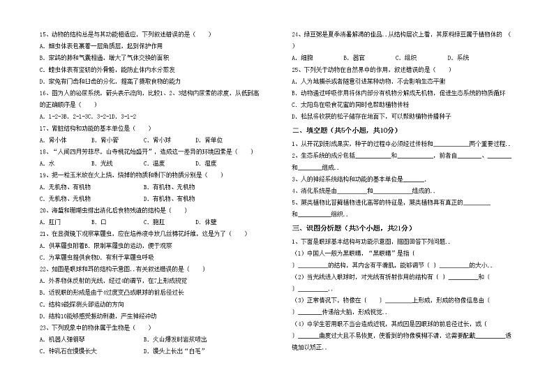 鲁教版七年级生物上册期末模拟考试【带答案】练习题第2页