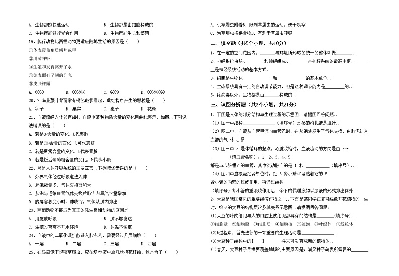 鲁教版七年级生物上册期末模拟考试及答案（1）练习题第2页