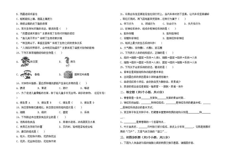 鲁教版七年级生物上册期末试卷及答案【最新】第2页