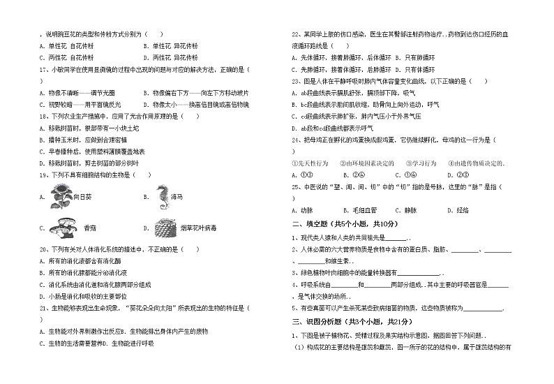 鲁教版七年级生物上册期末试卷及答案2第2页