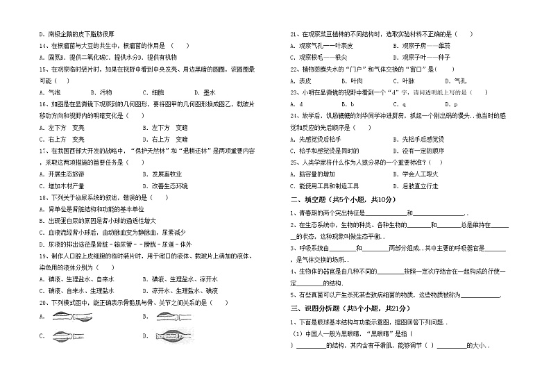 鲁教版七年级生物上册期末模拟考试及答案练习题第2页