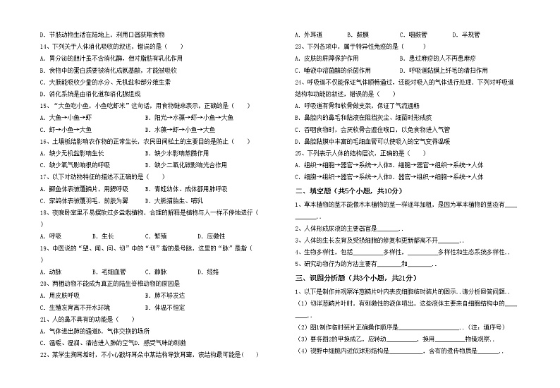 鲁教版七年级生物上册期末试卷（最新）第2页