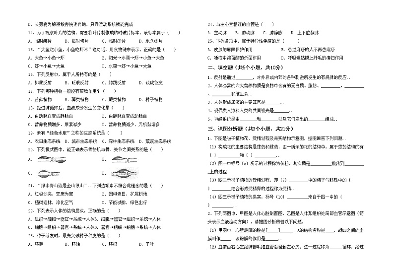鲁教版七年级生物上册期末试卷及答案【完整版】第2页