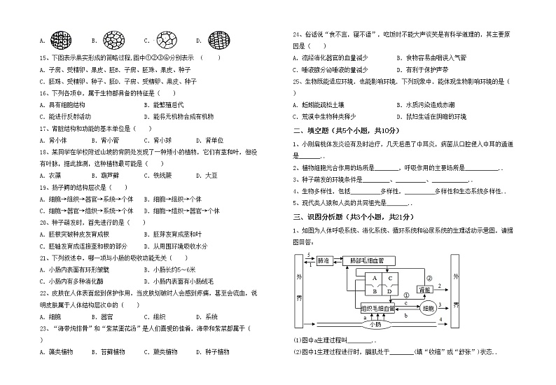 鲁教版七年级生物上册期末试卷（加答案）02