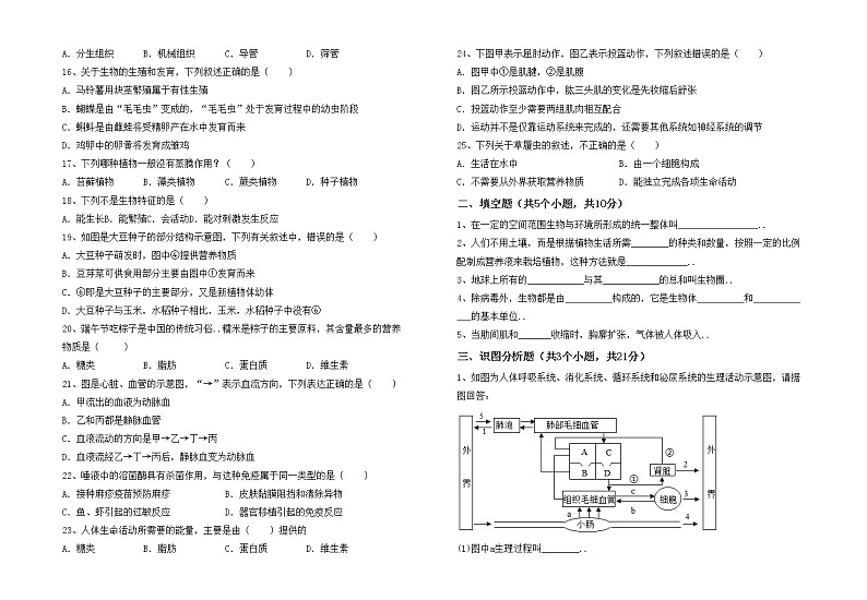 鲁教版七年级生物上册期中测试卷（新版）第2页